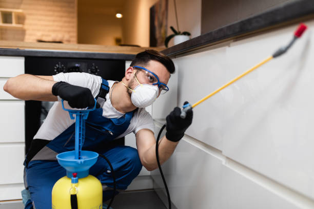 Best Cockroach Control Services  in Wescosville, PA
