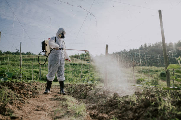 Best Affordable Pest Control Services  in Wescosville, PA