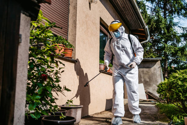 Best Mosquito Control Services  in Wescosville, PA
