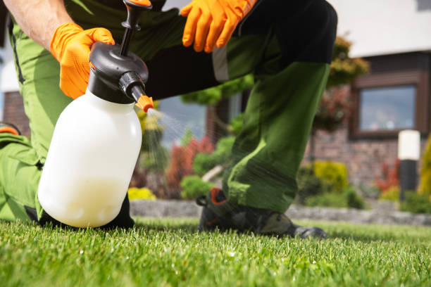 Best Flea Control Services  in Wescosville, PA