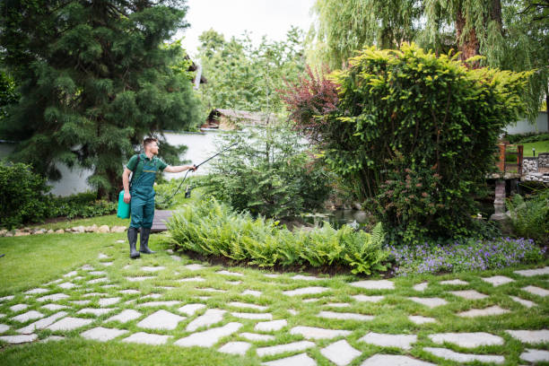 Pest Control Cost in Wescosville, PA