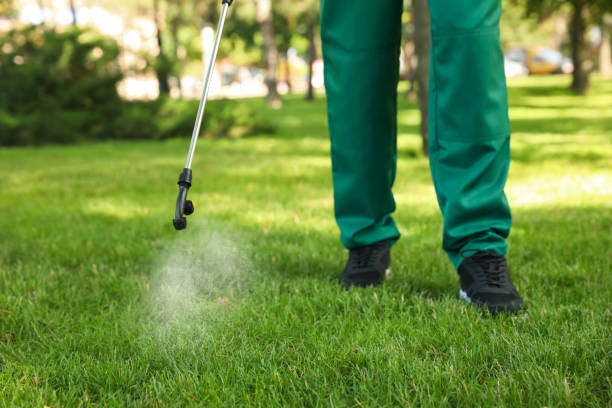 Pest Prevention Services in Wescosville, PA
