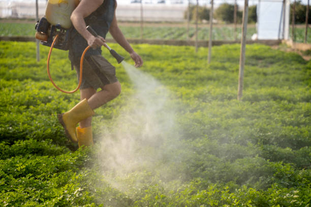 Best Pest Prevention Services  in Wescosville, PA