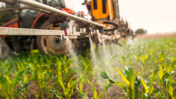 Best Mosquito Control Services  in Wescosville, PA
